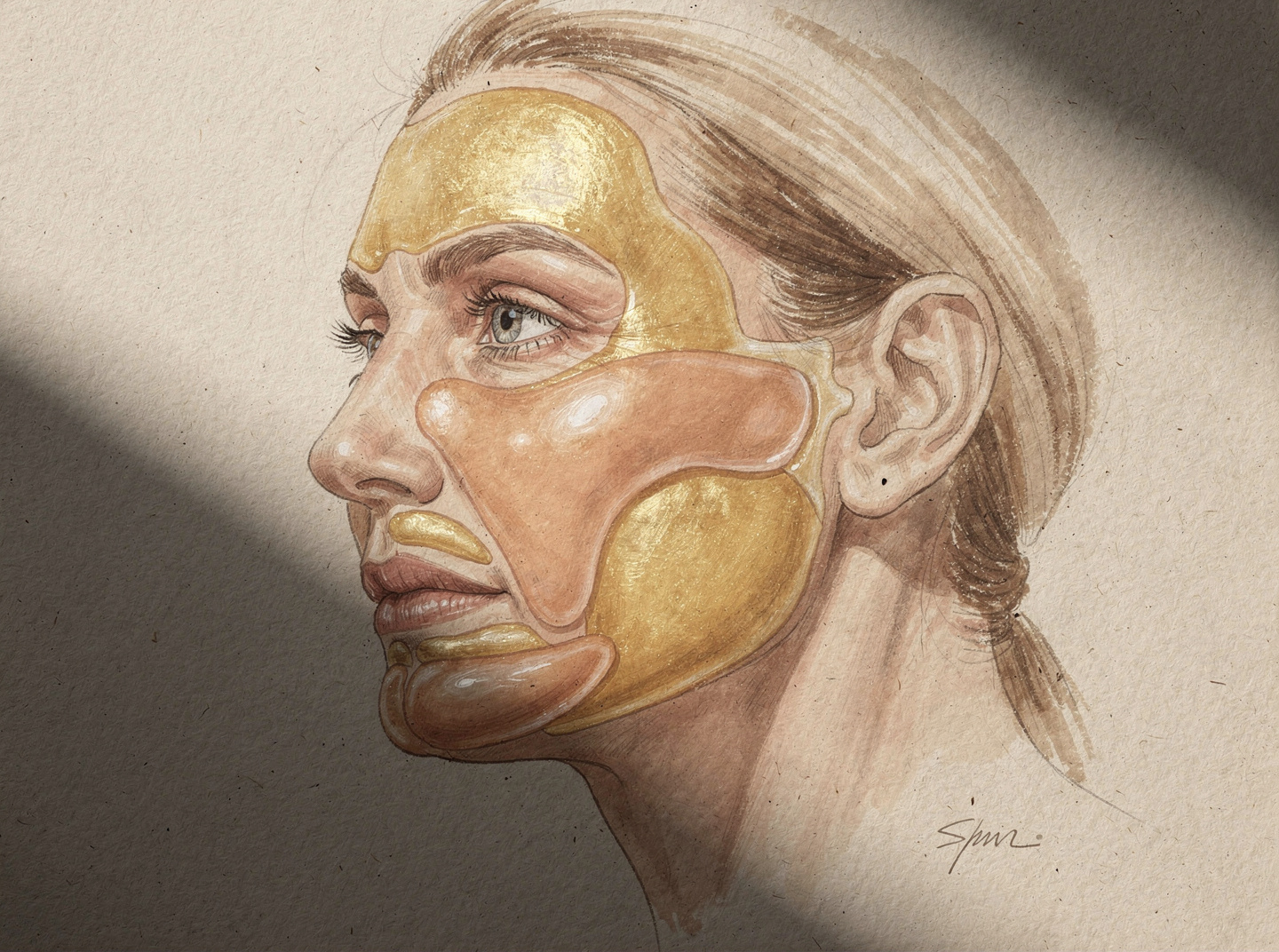 Anatomical cross-section of facial fat compartments supported by topical peptide therapy — preserved cushion and dermal structure.